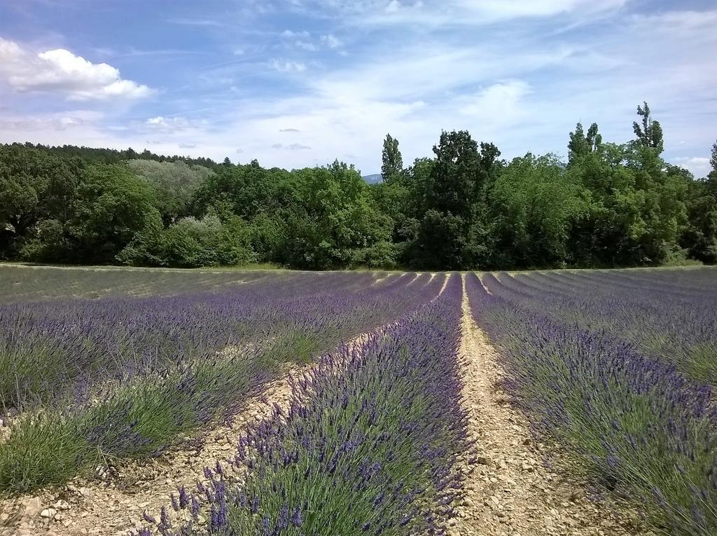 Hotel Sainte Anne "Le Verdon" เลซาล-ซูร์-แวร์ดง ภายนอก รูปภาพ